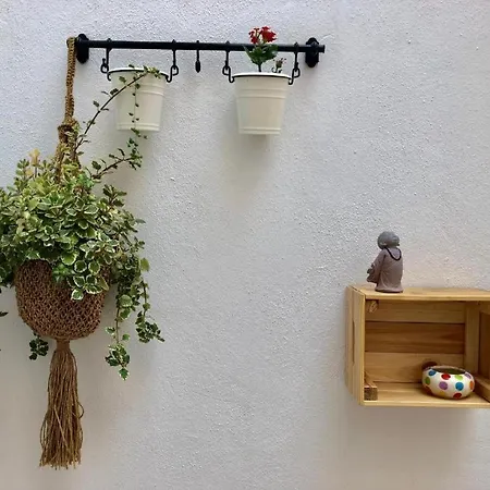 Guantanamera Eco-friendly Roomalaga By Bossh! Apartment