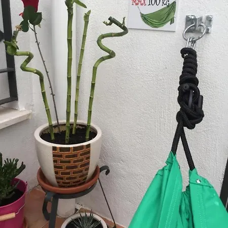 Guantanamera Eco-friendly Roomalaga By Bossh! Malaga